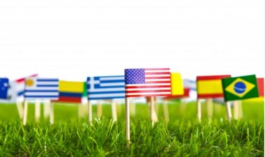 Azasure Our Rates & Percentage