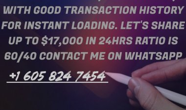 Old Blockchain Needed!!!